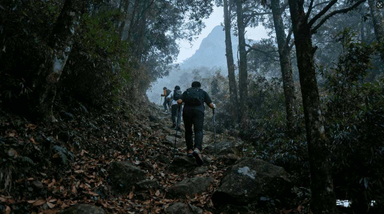 安全可靠的免费VPN推荐，畅享极速无限网络体验